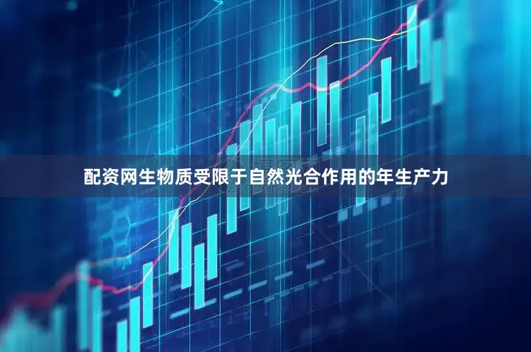 配资网生物质受限于自然光合作用的年生产力
