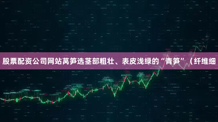 股票配资公司网站莴笋选茎部粗壮、表皮浅绿的“青笋”（纤维细